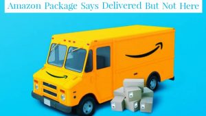 Amazon Package Says Delivered But Not Here | What to Do? - SLEEK-FOOD