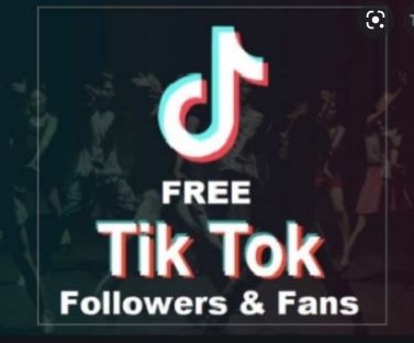 Free fans without verification