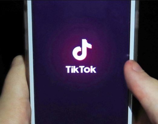 TikTok Calls in Outside Help With Content Moderation in Europe