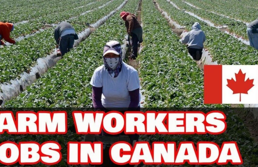 Farm Jobs in Canada with Free Visa Sponsorship 2022